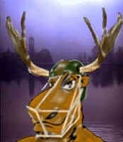 Binghamton BullMoose